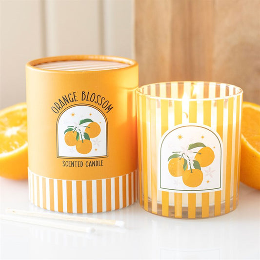 Italian Summer Orange Blossom Scented Candle